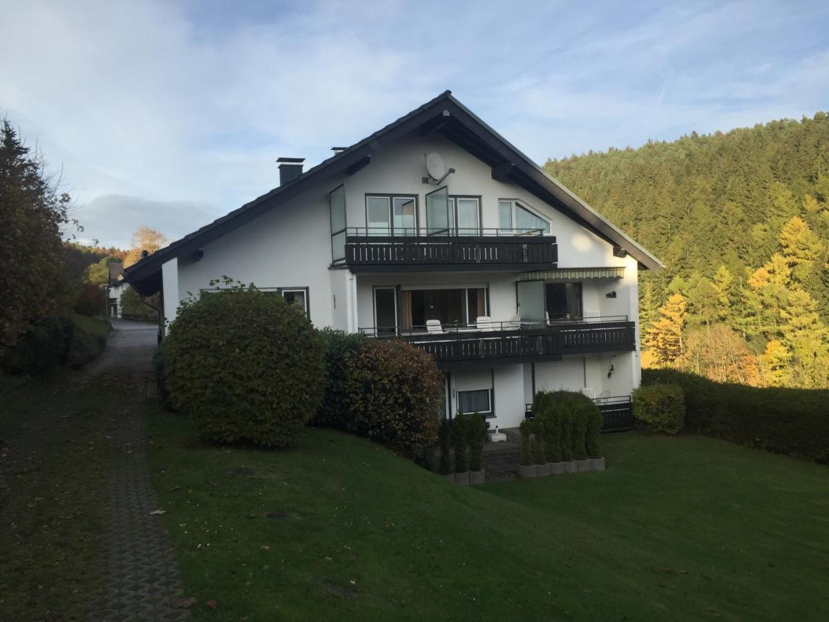 Ferienwohnungen Lang Willingen  Buitenkant foto