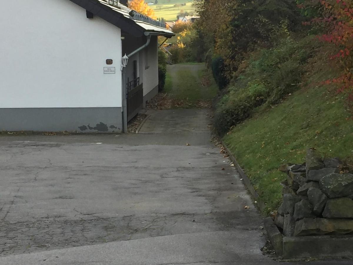 Ferienwohnungen Lang Willingen  Buitenkant foto