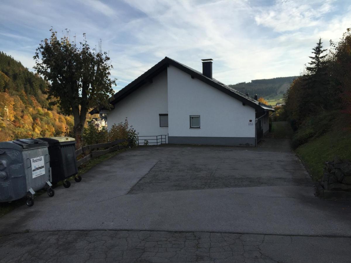 Ferienwohnungen Lang Willingen  Buitenkant foto