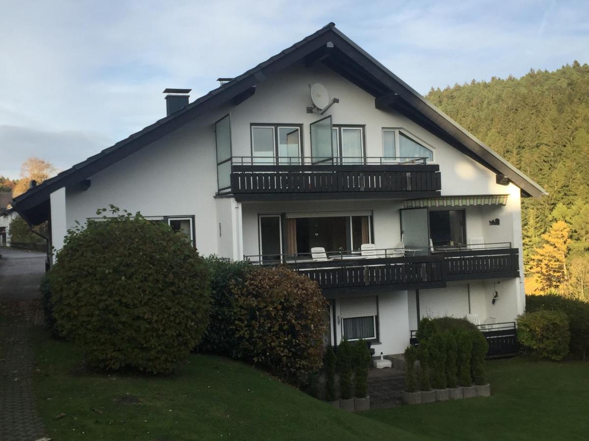 Ferienwohnungen Lang Willingen  Buitenkant foto
