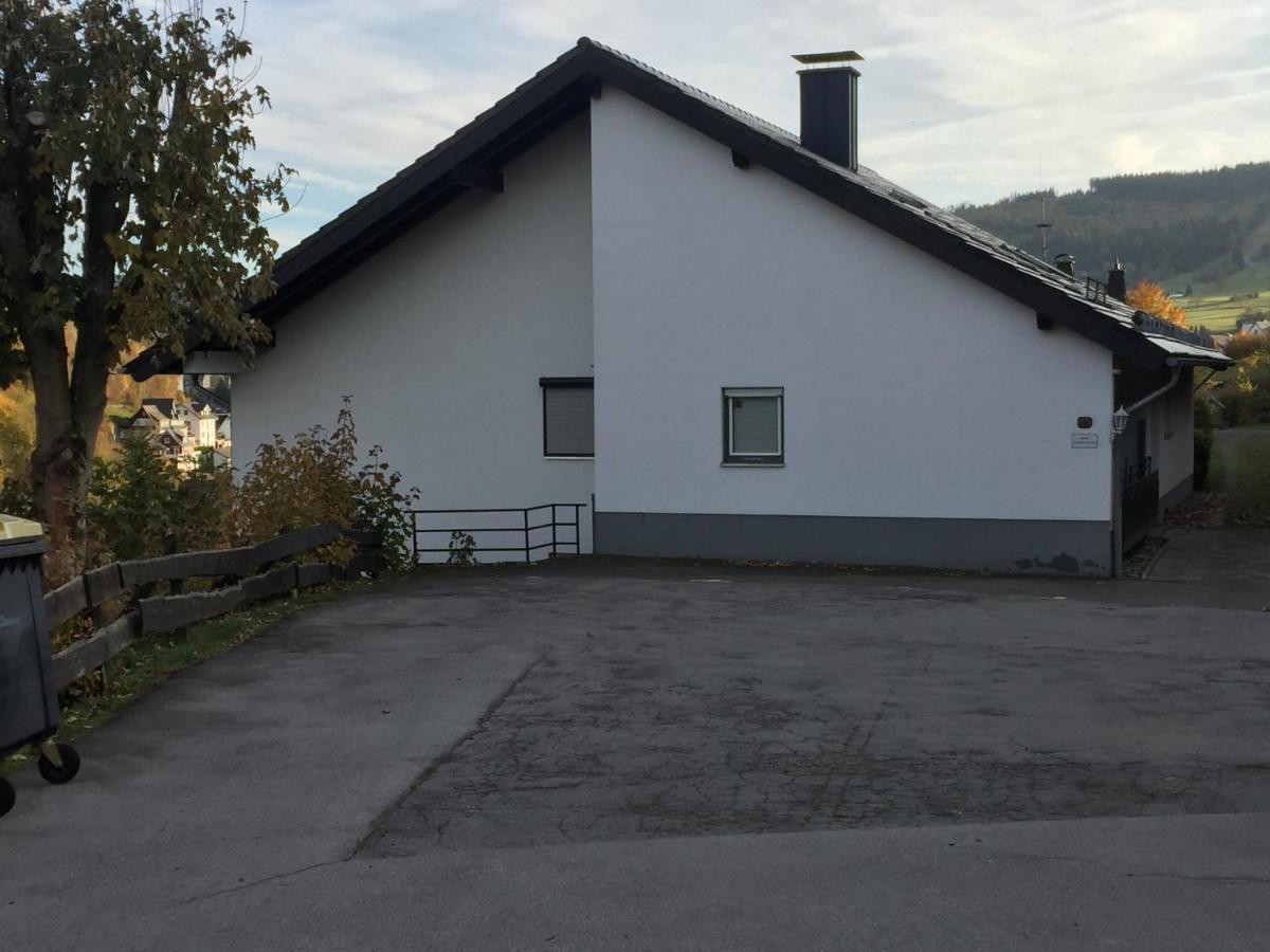 Ferienwohnungen Lang Willingen  Buitenkant foto