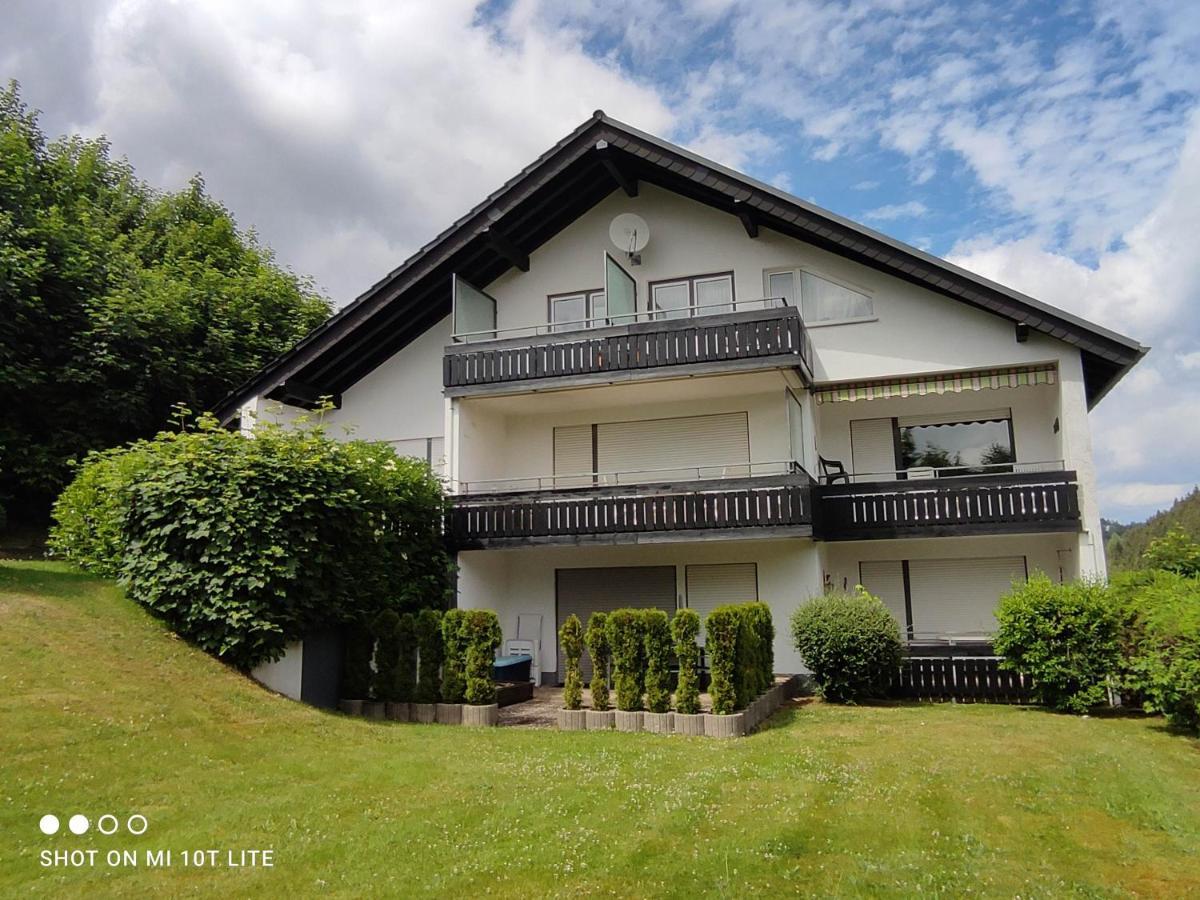 Ferienwohnungen Lang Willingen  Buitenkant foto