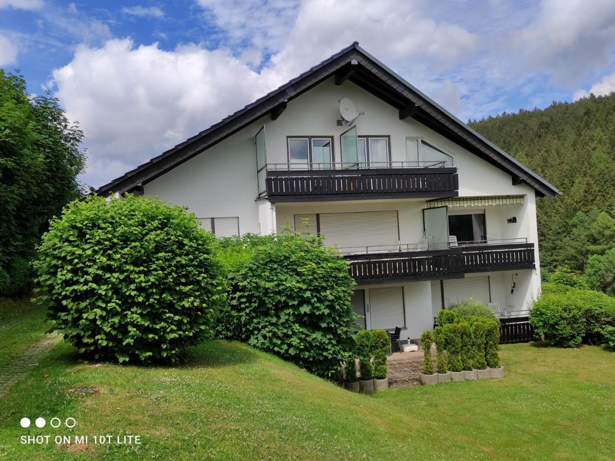 Ferienwohnungen Lang Willingen  Buitenkant foto